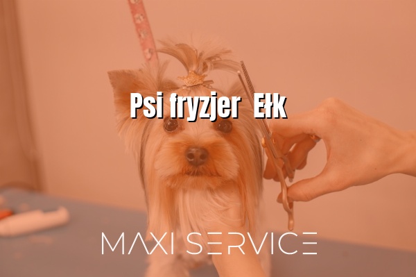 Psi fryzjer  Ełk - Maxi Service