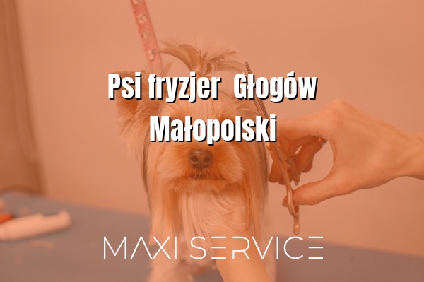 Psi fryzjer  Głogów Małopolski - Maxi Service