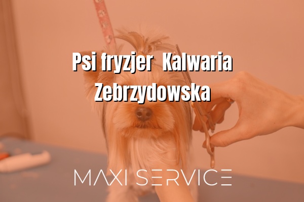 Psi fryzjer  Kalwaria Zebrzydowska - Maxi Service