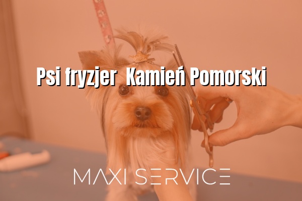 Psi fryzjer  Kamień Pomorski - Maxi Service