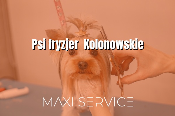 Psi fryzjer  Kolonowskie - Maxi Service
