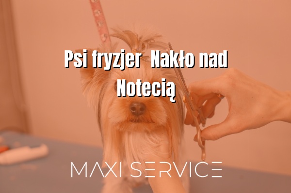 Psi fryzjer  Nakło nad Notecią - Maxi Service