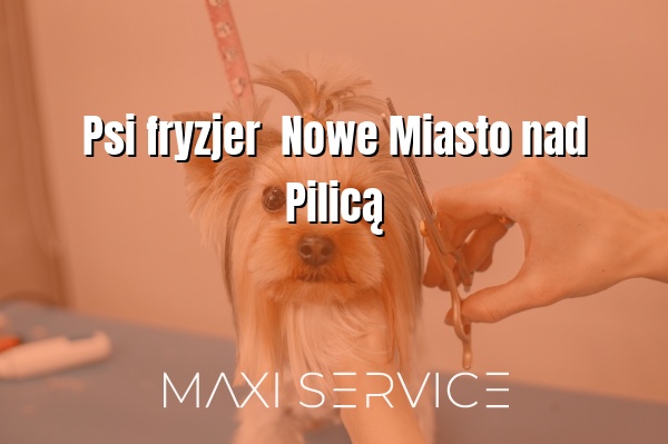 Psi fryzjer  Nowe Miasto nad Pilicą - Maxi Service