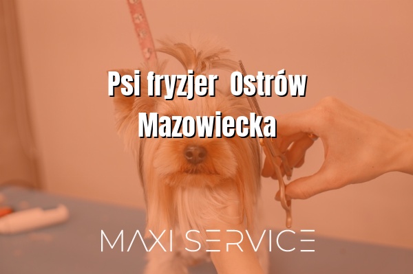 Psi fryzjer  Ostrów Mazowiecka - Maxi Service