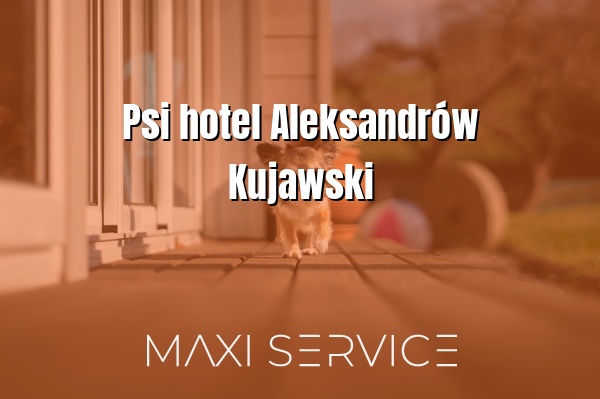 Psi hotel Aleksandrów Kujawski - Maxi Service