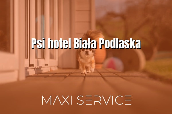 Psi hotel Biała Podlaska - Maxi Service