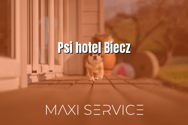 Psi hotel Biecz - Maxi Service