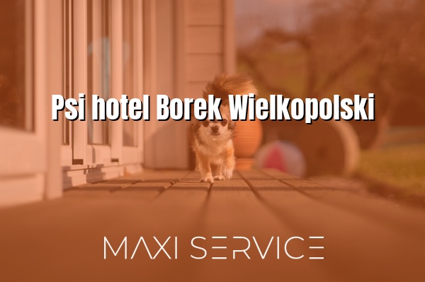 Psi hotel Borek Wielkopolski - Maxi Service
