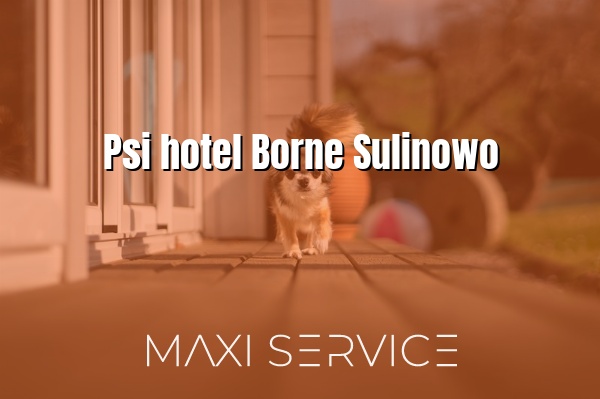 Psi hotel Borne Sulinowo - Maxi Service