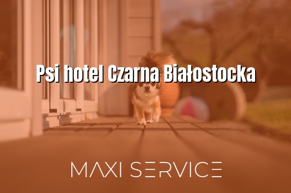 Psi hotel Czarna Białostocka - Maxi Service