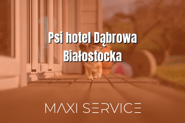 Psi hotel Dąbrowa Białostocka - Maxi Service