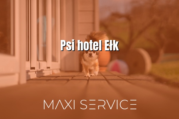Psi hotel Ełk - Maxi Service