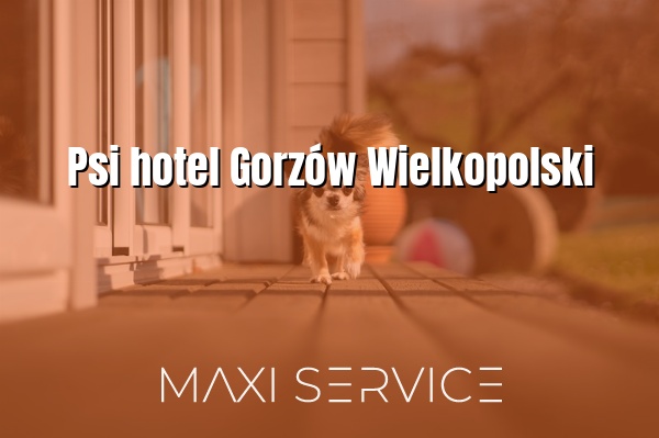 Psi hotel Gorzów Wielkopolski - Maxi Service