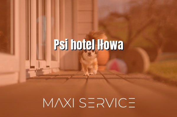 Psi hotel Iłowa - Maxi Service