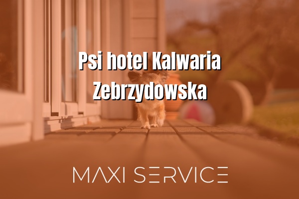 Psi hotel Kalwaria Zebrzydowska - Maxi Service