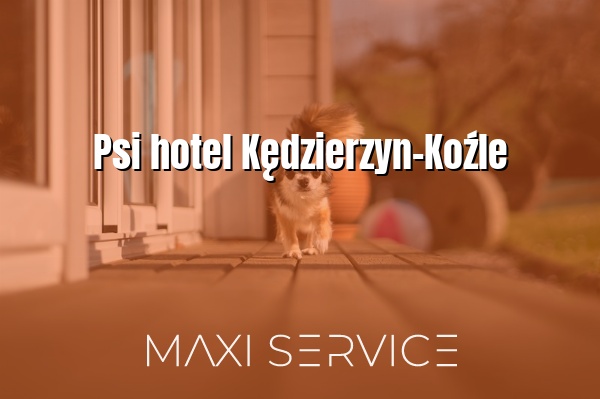 Psi hotel Kędzierzyn-Koźle - Maxi Service