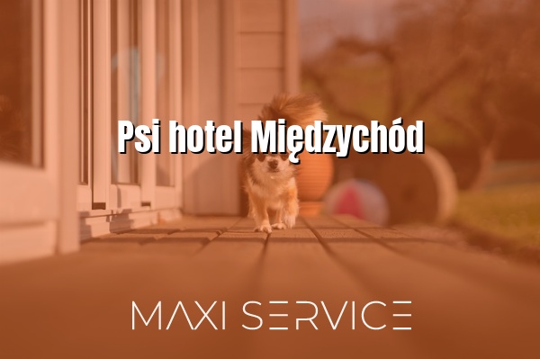 Psi hotel Międzychód - Maxi Service