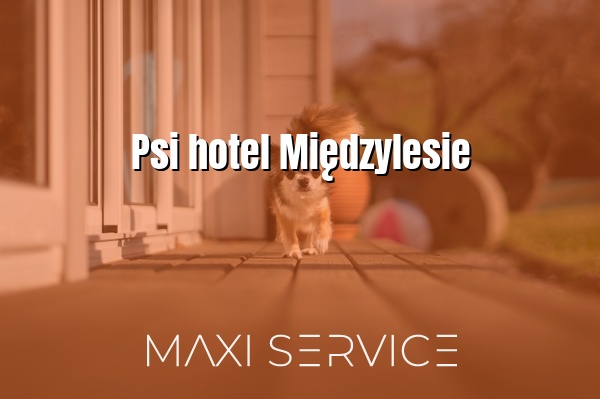 Psi hotel Międzylesie - Maxi Service