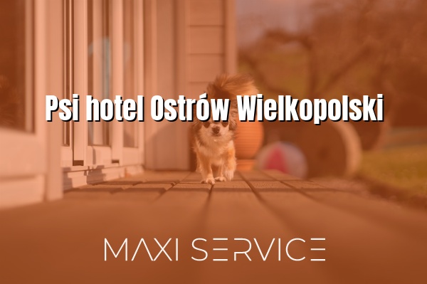 Psi hotel Ostrów Wielkopolski - Maxi Service