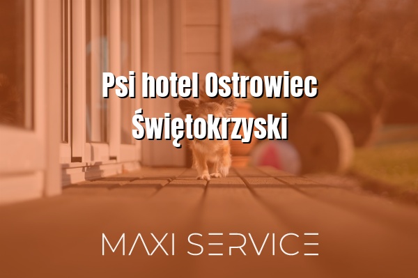 Psi hotel Ostrowiec Świętokrzyski - Maxi Service