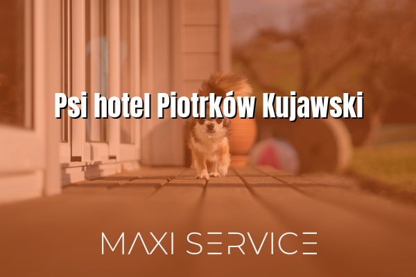 Psi hotel Piotrków Kujawski - Maxi Service