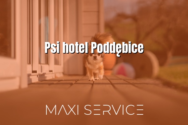 Psi hotel Poddębice - Maxi Service