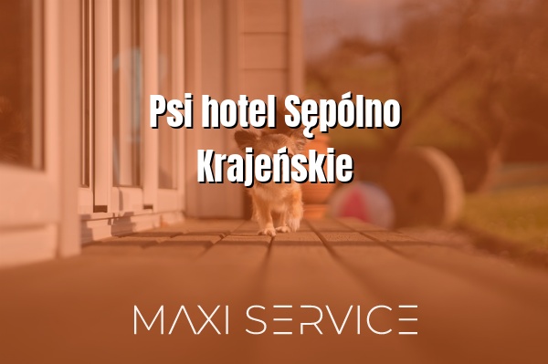 Psi hotel Sępólno Krajeńskie - Maxi Service