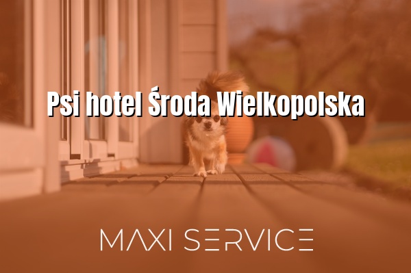 Psi hotel Środa Wielkopolska - Maxi Service