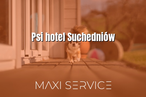 Psi hotel Suchedniów - Maxi Service
