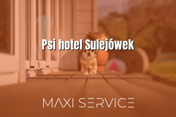 Psi hotel Sulejówek - Maxi Service