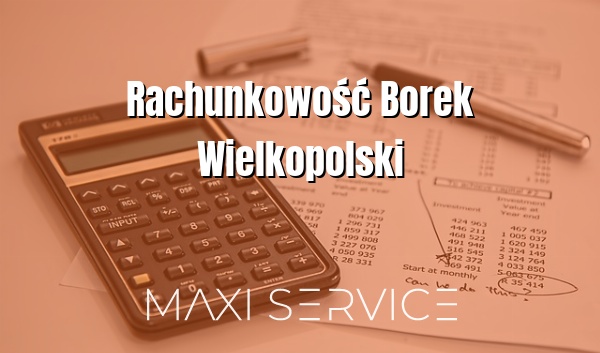 Rachunkowość Borek Wielkopolski - Maxi Service