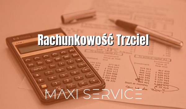 Rachunkowość Trzciel - Maxi Service