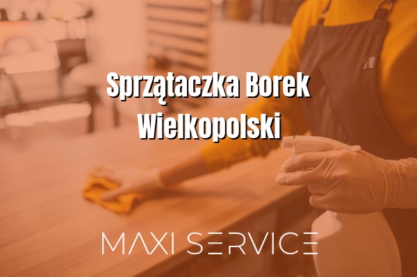 Sprzątaczka Borek Wielkopolski - Maxi Service