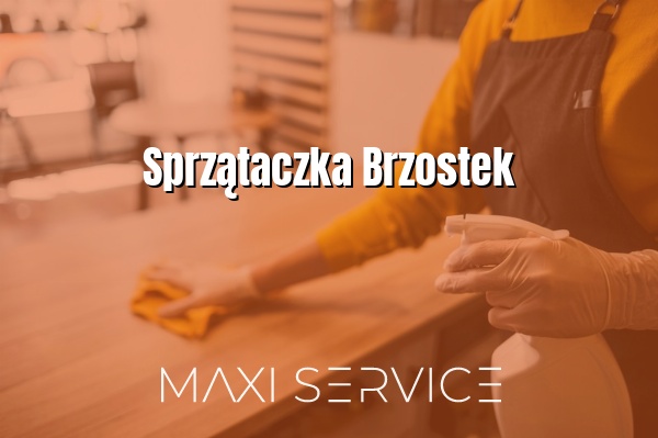 Sprzątaczka Brzostek - Maxi Service