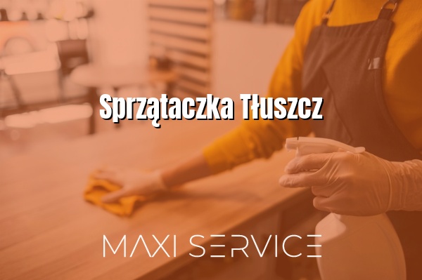 Sprzątaczka Tłuszcz - Maxi Service