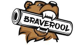 logo Braverool